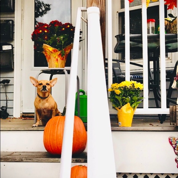 Hello - Picture 9 of 16